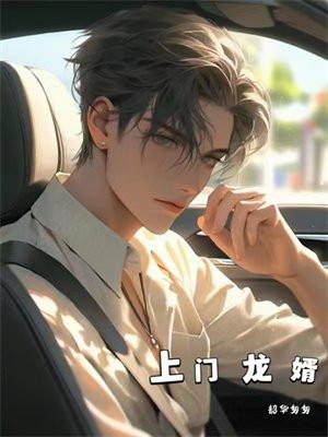 上门龙婿tXt电子书