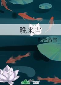 晚来雪伴奏