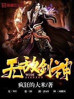 无敌剑神杨叶免费阅读