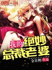 我的绝美总裁老婆骑猫的鱼笔趣阁
