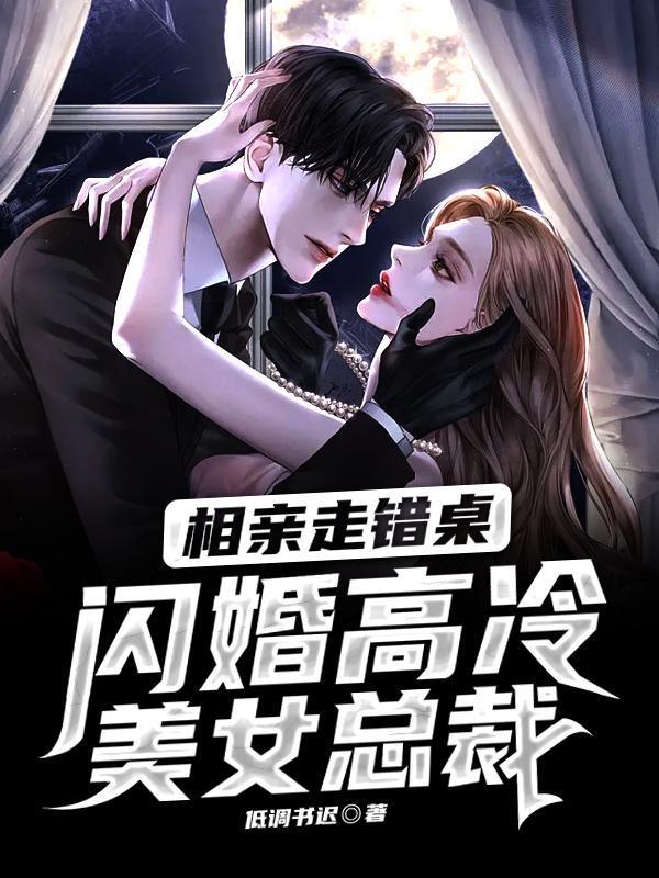 闪婚高冷美女总裁txt