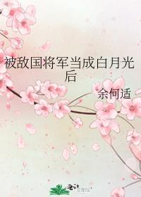 被敌国将军当成白月光后完结