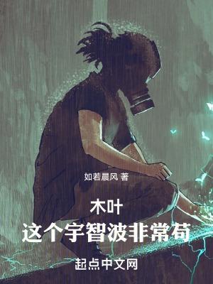 木叶这个宇智波非常苟 笔趣阁