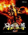 丹武帝尊叶星辰全文阅读