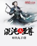 混沌之大天尊
