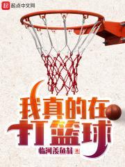 我真的在打篮球TXT百度
