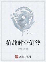 导时空之抗日