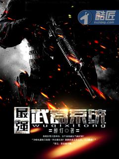 武器系统流