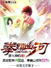 拳镇山河百度百科境界划分