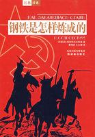 钢铁是怎样炼成的电视剧是中国拍的吗