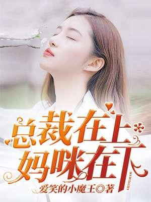 总裁在上我在下奇漫屋