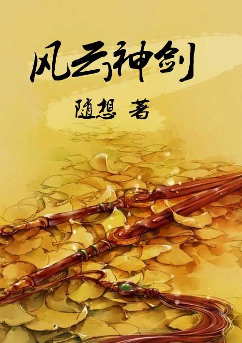 风云神剑排行