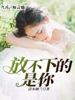 放不下的你是什么歌名