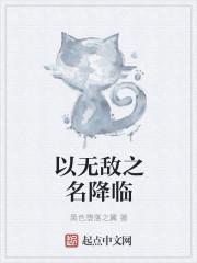 无敌圣主降临
