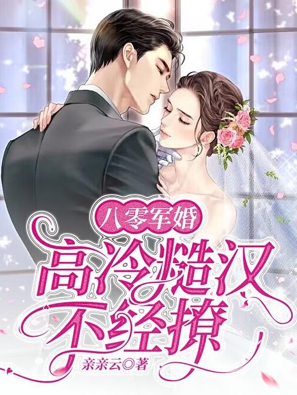 八零年代军婚文