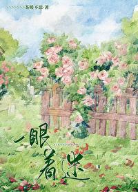 一眼着迷by茶暖不思免费阅读TXT
